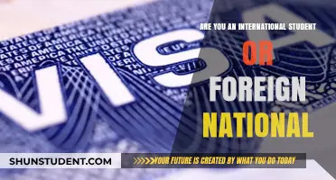 International Student or Foreign National: What's the Difference?