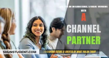 How Channel Partners Help International Students