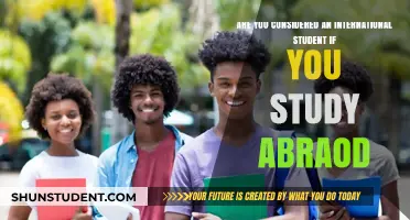 Studying Abroad: Are You an International Student?