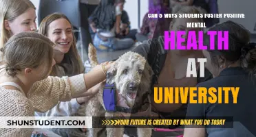 University Students: Foster Your Mental Health