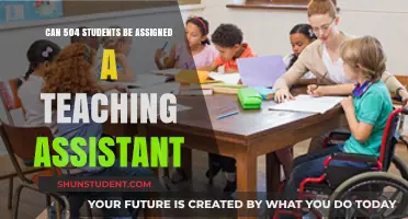 Supporting 504 Students: The Role of Teaching Assistants in Inclusion