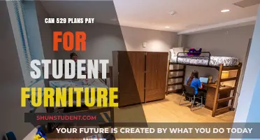 Student Furniture: Can 529 Plans Cover These Costs?