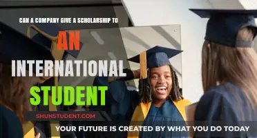 Company Scholarships: International Students' Opportunities