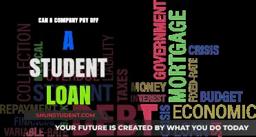 Student Loan Payoff: Can Companies Help?