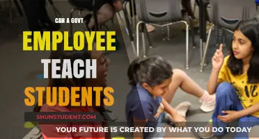 Can Government Employees Teach? Exploring Dual Roles and Legalities