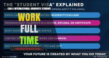 International Graduate Students: Full-Time Work Options