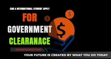 International Students: Government Clearance Eligibility