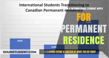 International Students: Your Path to Permanent Residence