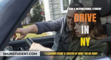 International Students: Driving in New York