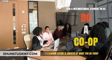 International Students in US: Co-op Opportunities