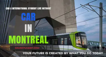International Students: Car-Free in Montreal?