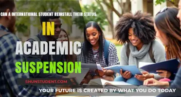 Reinstating Academic Status: International Students' Options