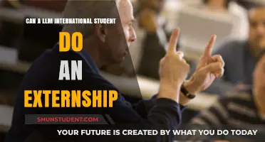 LLM Externships: International Student Opportunities?