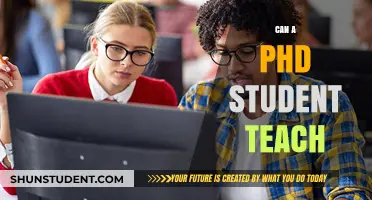 Can PhD Students Teach? Exploring Roles, Challenges, and Opportunities
