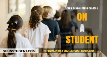 Legal Consequences for Students: Can Schools Press Charges?