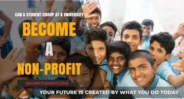 Student Groups: Non-Profit Potential?