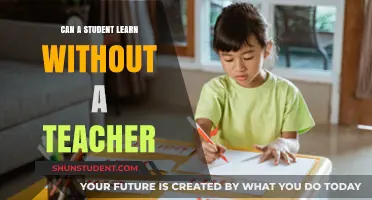 Can Students Learn Independently Without a Teacher's Guidance?