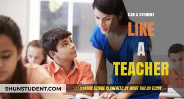 Can Students Develop Feelings for Teachers? Exploring the Dynamics