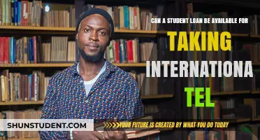 Student Loan for International Study: Is It Possible?