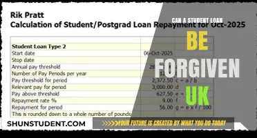 Can UK Student Loans Be Forgiven? Exploring Options for Debt Relief