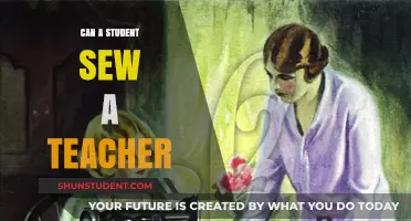 Can Students Legally Sew Teachers? Exploring the Boundaries of Classroom Creativity
