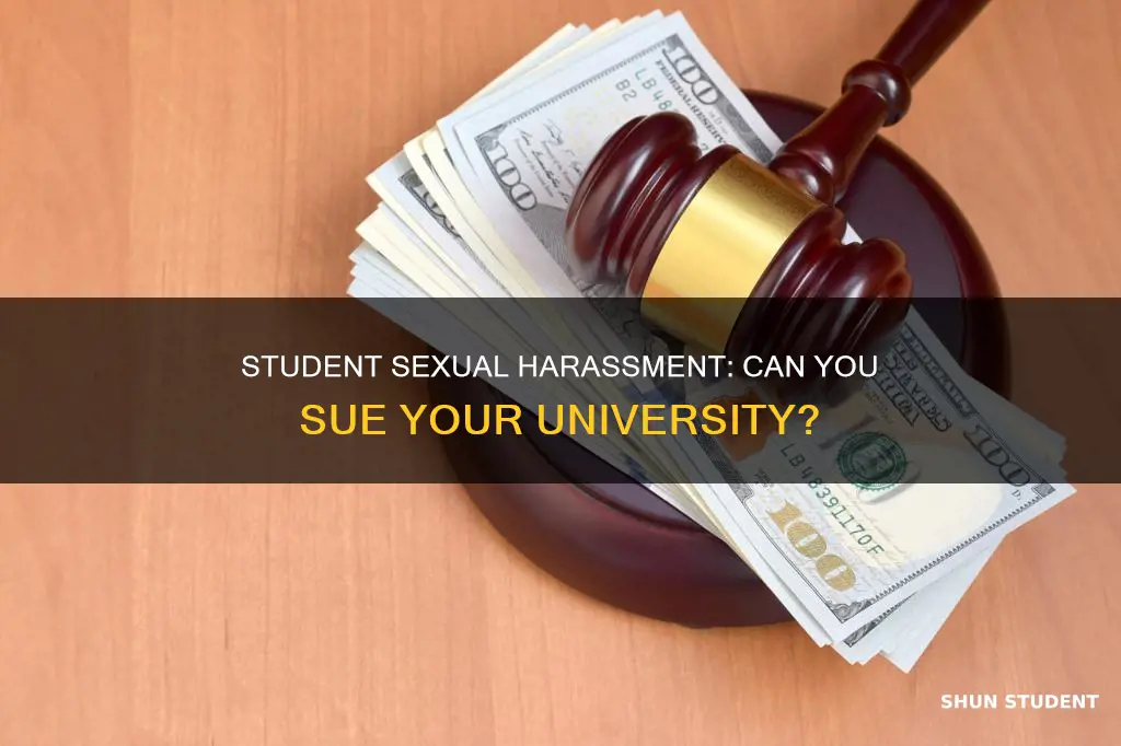 can a student sue a university for sexual harassment