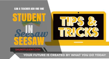How Teachers Can Add Individual Students to Seesaw: A Guide