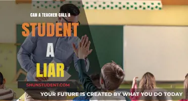 Can Teachers Accuse Students of Lying? Ethical Boundaries Explored