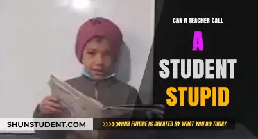 Can Teachers Call Students Stupid? Exploring Ethics and Impact