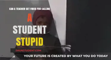 Can Teachers Be Fired for Insulting Students? Legal Insights