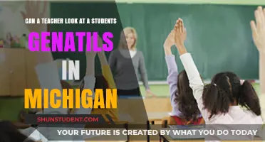 Michigan Teacher Boundaries: Can They View Student Genitals Legally?