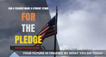 Can Teachers Mandate Students Stand for the Pledge? Legal Insights