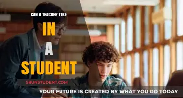 Can Teachers Legally Take in Students? Exploring Ethical and Legal Boundaries