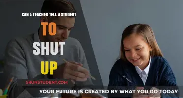 Can Teachers Say 'Shut Up'? Exploring Classroom Boundaries and Respect