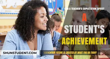 Teacher Expectations: Shaping Student Success and Academic Achievement