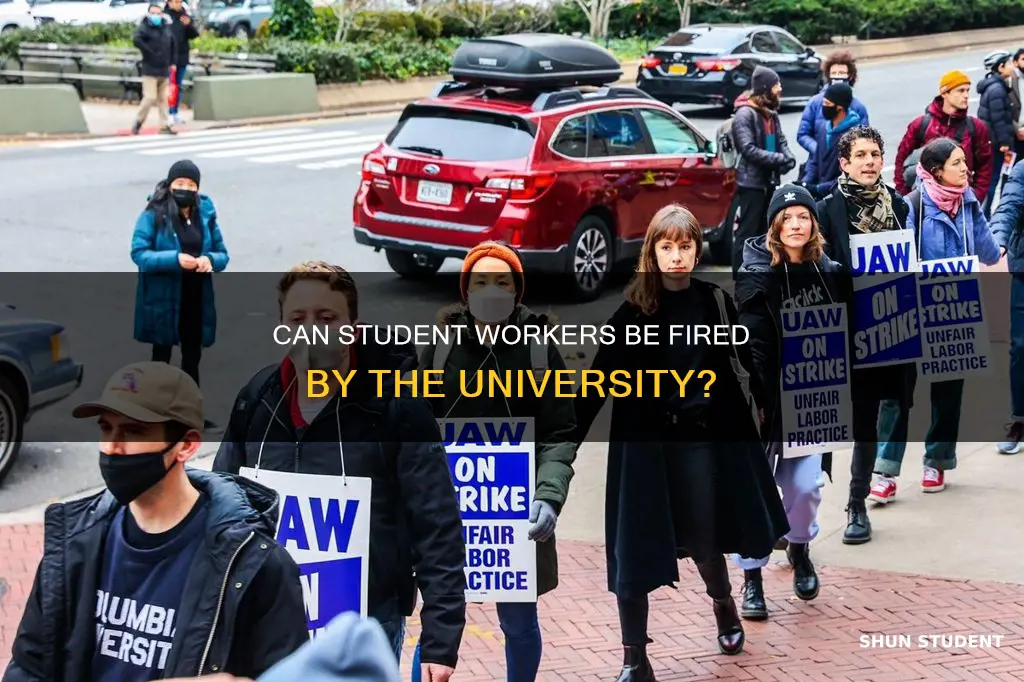 can a university fire you if your student worker