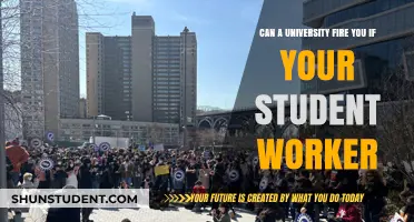 Your Rights as a Student Worker: Can You Be Fired?