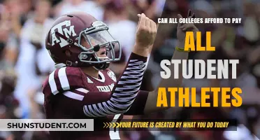 Paying Student Athletes: Can Colleges Afford It?