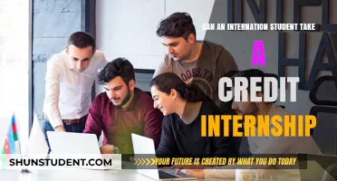 Credit Internships: Available to International Students?
