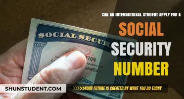 Applying for a Social Security Number as an International Student