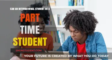 Studying Part-Time as an International Student: Is It Possible?