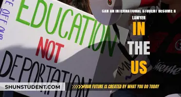 International Students: US Lawyers?