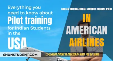 International Students: American Airlines Pilot Dreams