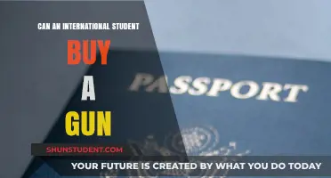 International Students and Gun Ownership: Is it Possible?