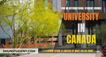 Switching Universities in Canada: International Student's Guide