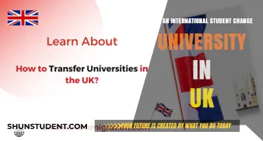Switching UK Universities: International Student Options