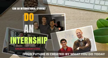 Internships for International Students: Possibilities and Procedures