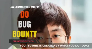 International Students: Hacking for Bug Bounties?