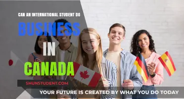 International Students: Can They Start Businesses in Canada?
