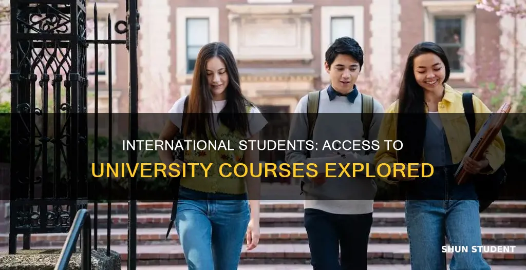 can an international student do university courses